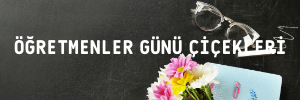 Öğretmenler Günü